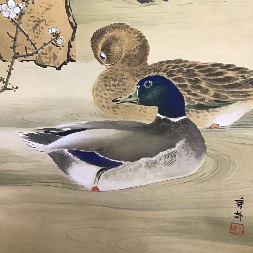 池上秀畒　「双鴨之図」絹本尺5寸　掛軸　真作　保証