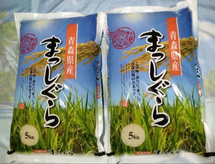 まっしぐら5kg×2個 令和8年2月上旬精米 【ラスト❗️早いもの勝ち‼️】