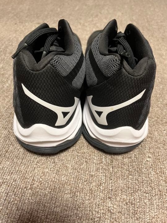 バーレーボールシューズ　ミズノ（レディースメンズ兼用）