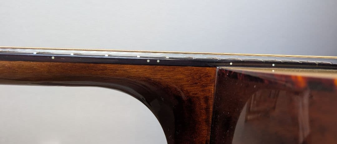 トップ単板美品★アンプ不要！リバーブやコーラスがかかる★　レコーディングキング