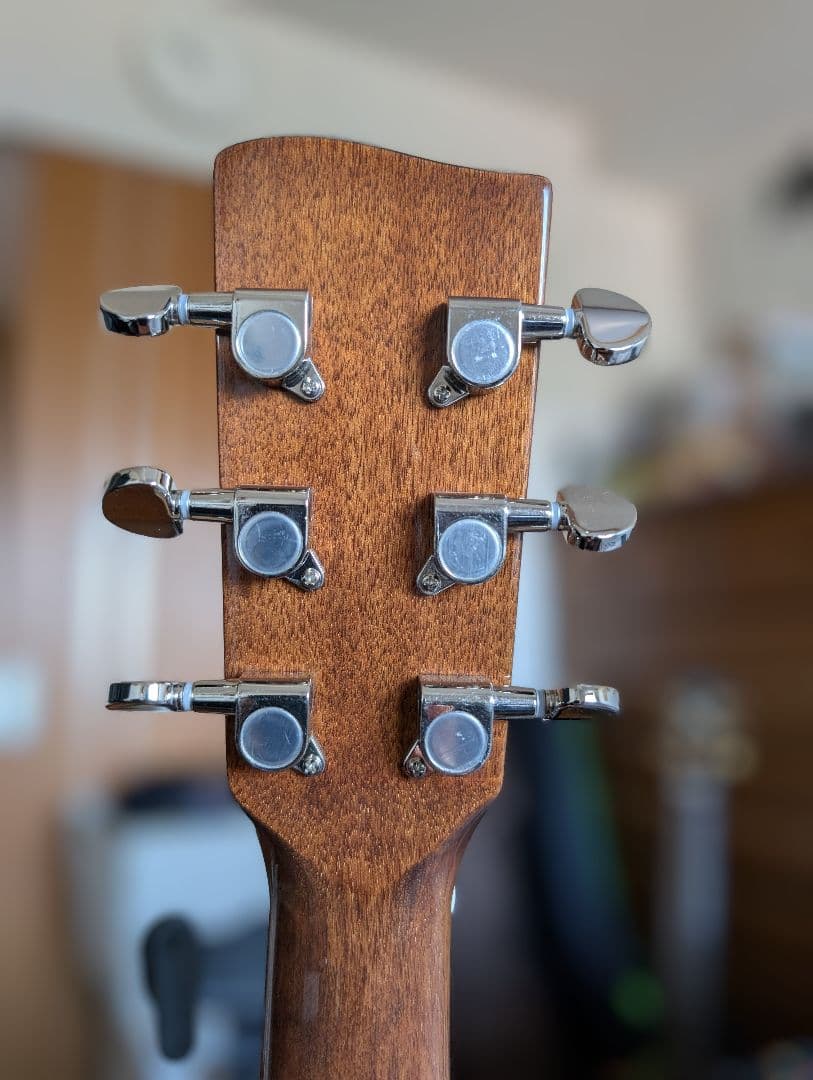 トップ単板美品★アンプ不要！リバーブやコーラスがかかる★　レコーディングキング