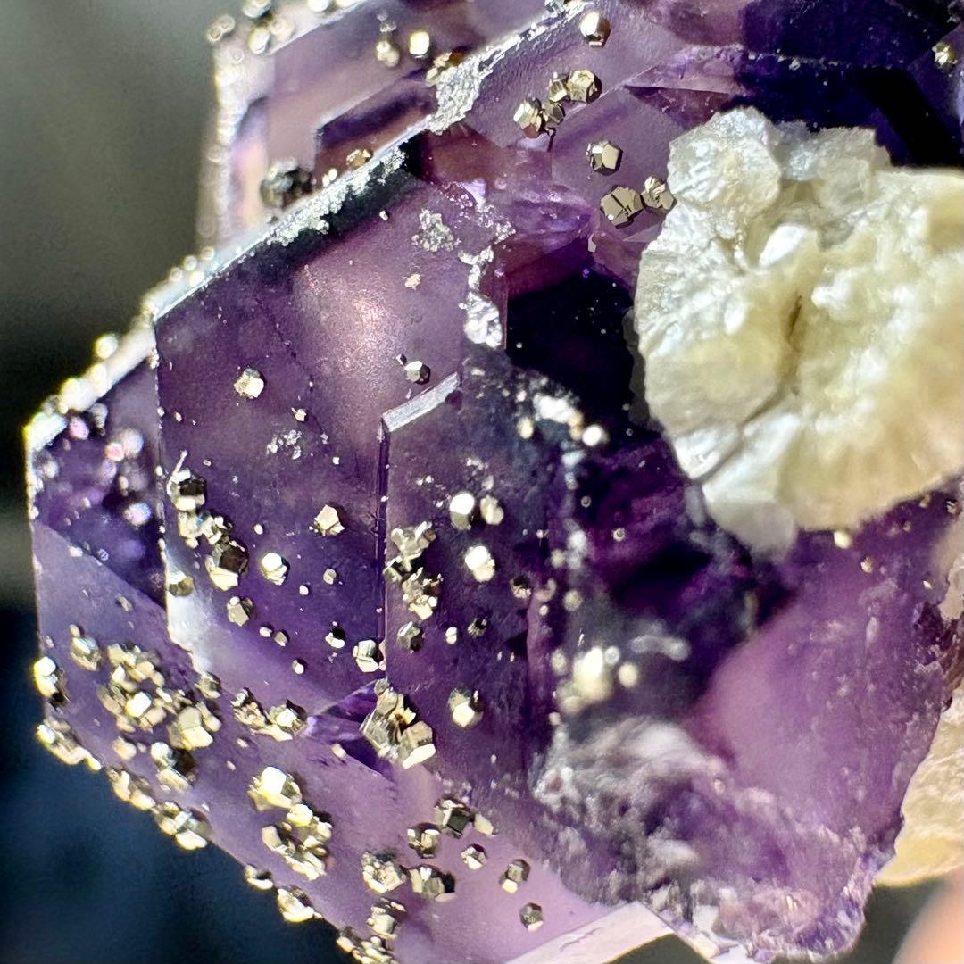 561 中国 内モンゴル産 フローライト&パイライト