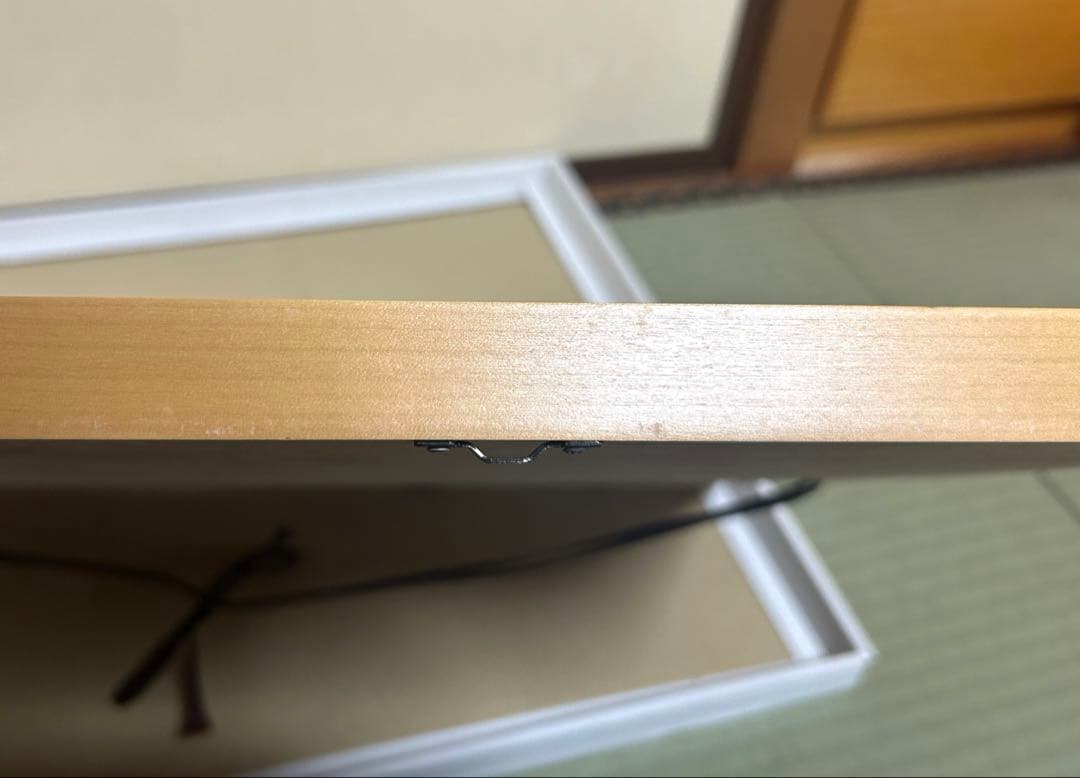 【福地翼先生直筆サイン入り】うえきの法則＋ カラー複製原画