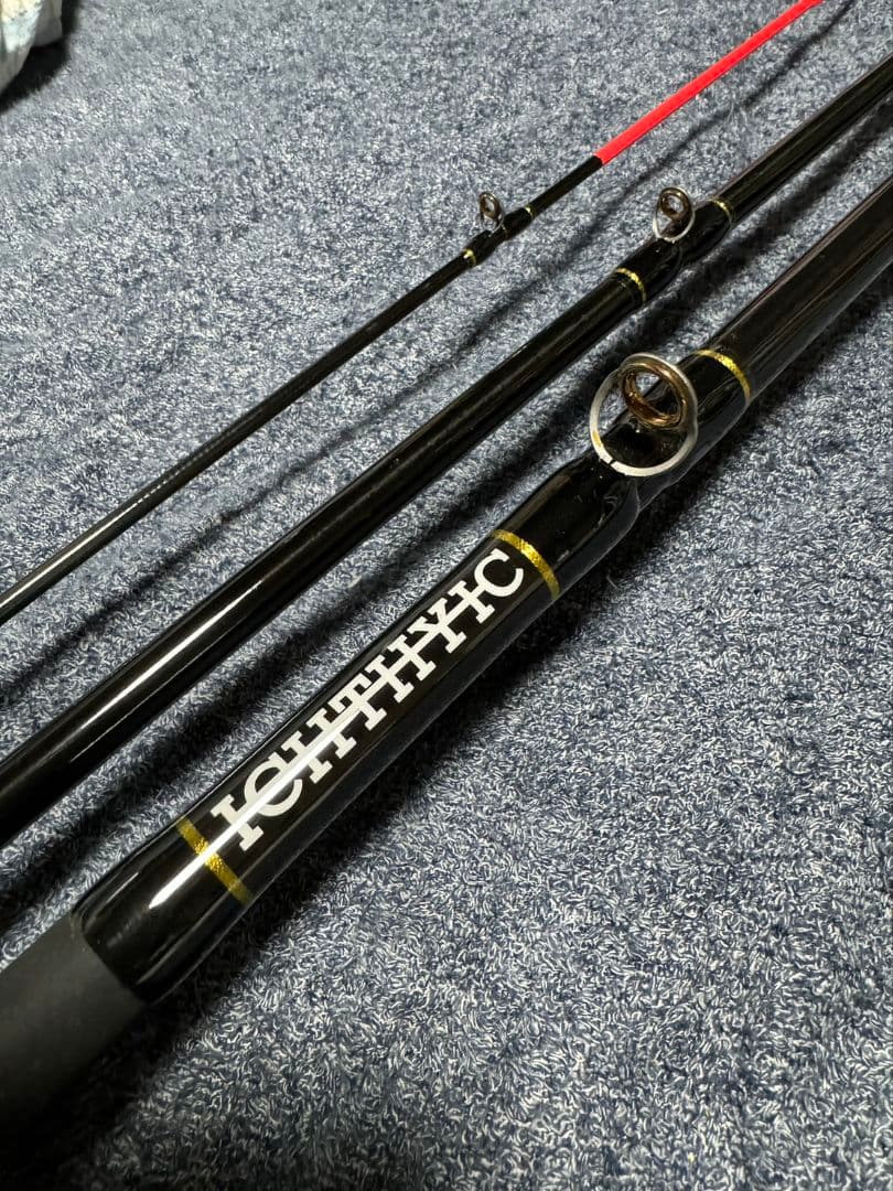 ICHTHYIC イクシーク　5353 ゴールドサーメット　石鯛