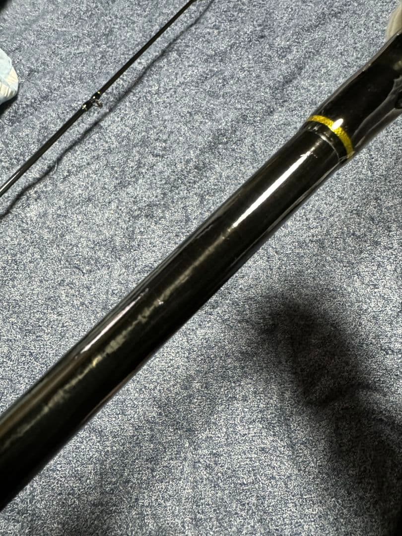 ICHTHYIC イクシーク　5353 ゴールドサーメット　石鯛