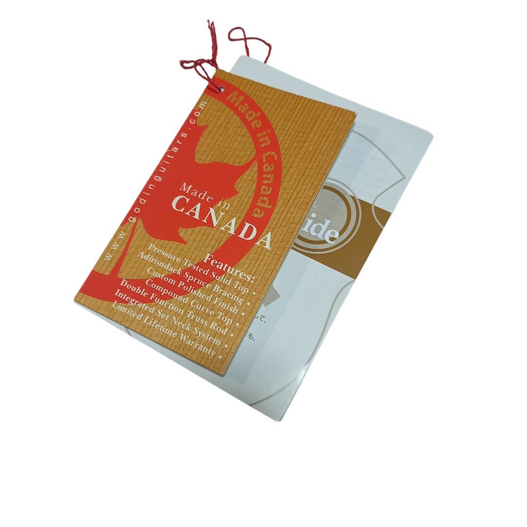 ケース付属★ Aria アリア AD-40LTD アコースティックギター