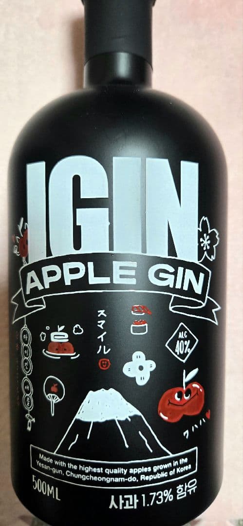 IGIN JAPAN Edition BTSジン