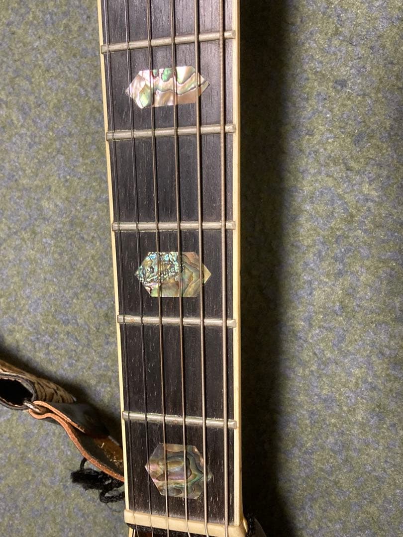 Zenon アコースティックギター スプルーストップ