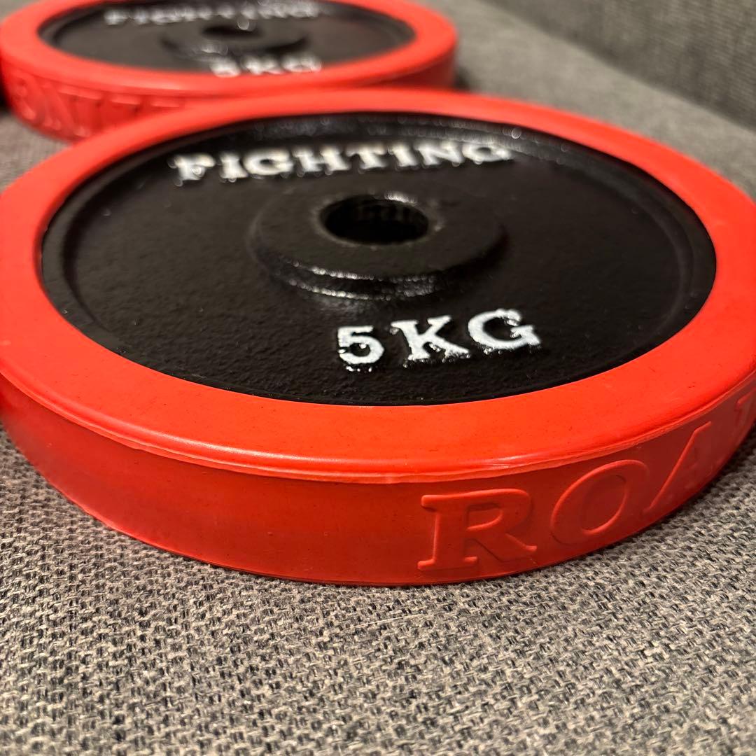 ファイティングロード ダンベルプレート 5kg×4枚（計20kg） 極美品