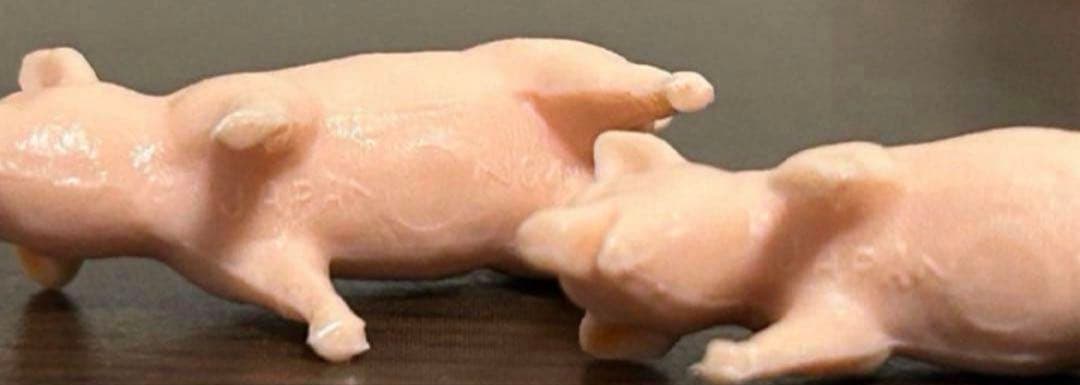 トミカ スズキ キャリィ 家畜運搬車 黄