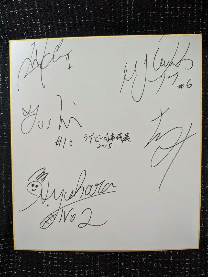 【超貴重サイン】2015年ラグビーワールドカップ日本代表サイン
