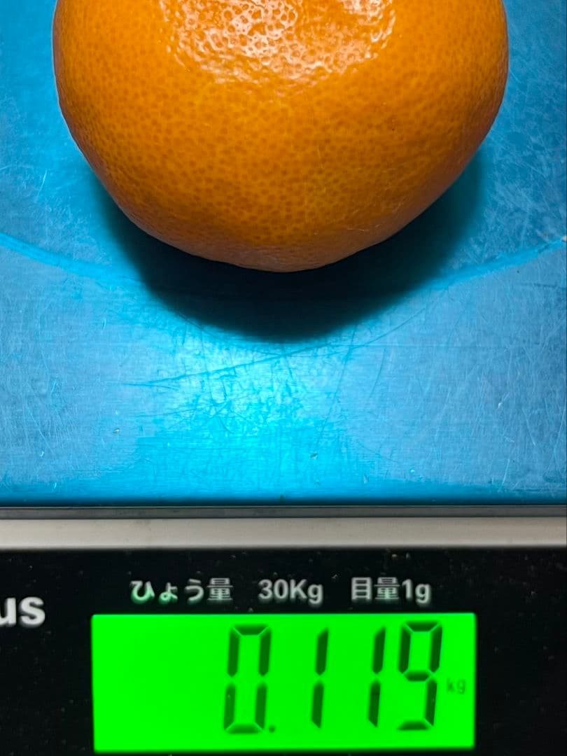 緑の箱のすごいみかん　Lサイズ5000g