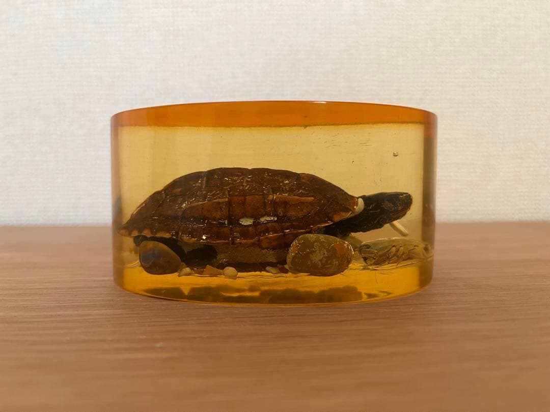 琥珀色 樹脂製 カメとカニの文鎮 インテリア置物