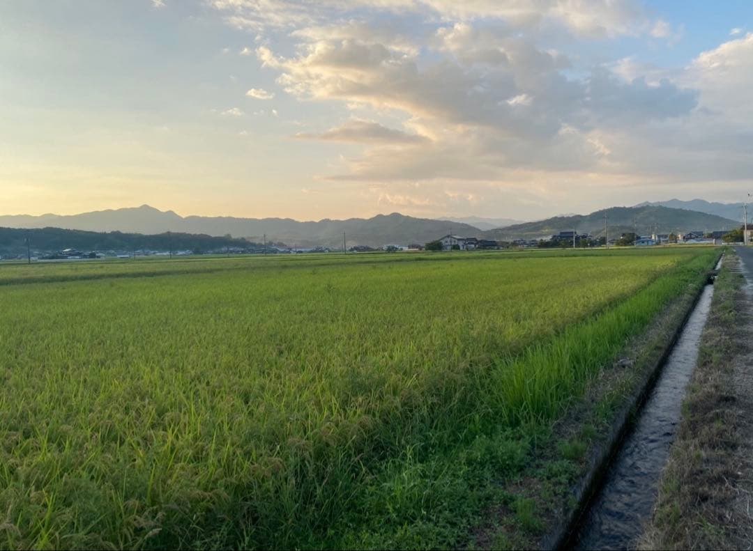 令和7年産新米　岡山県苫田郡産　減農薬栽培にじのきらめき　玄米30kg