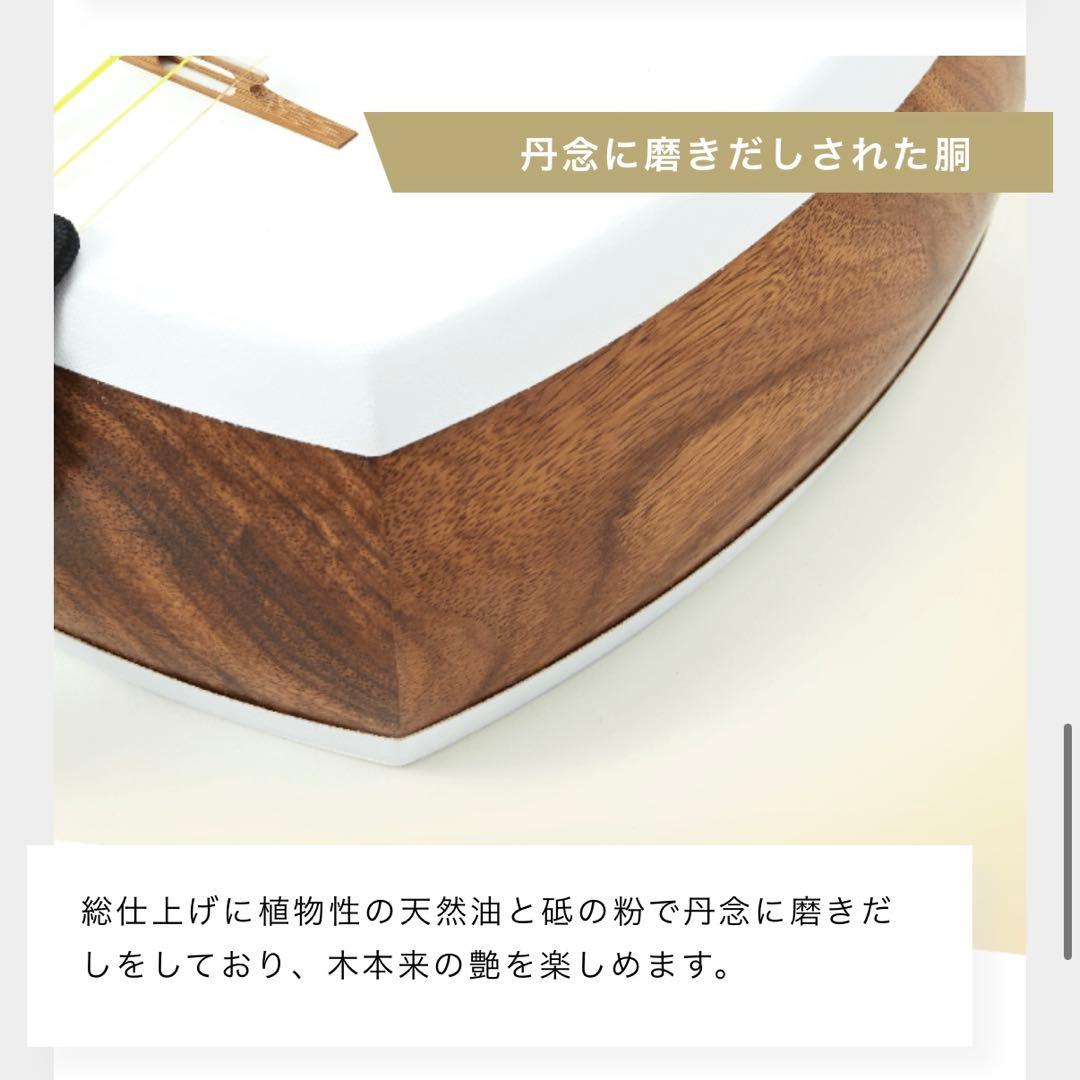 津軽三味線本体 バチ　ケース付き