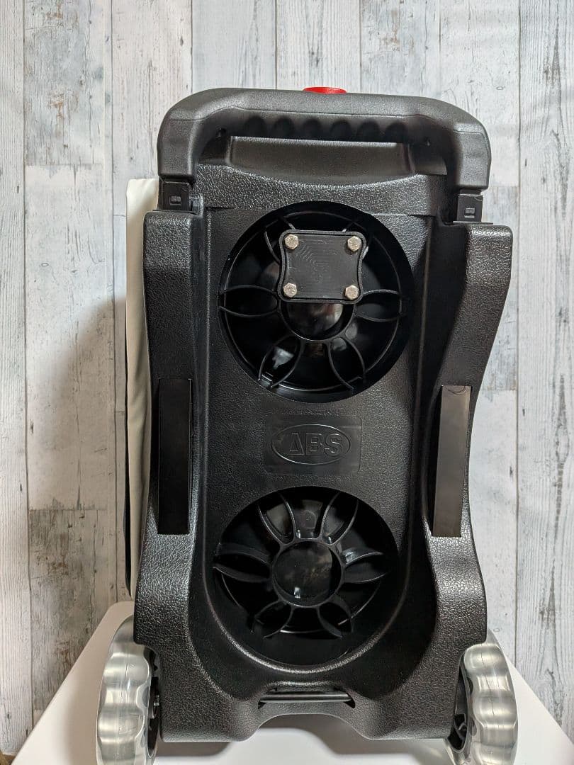 新品 Team麗 シングル + 2ボールバッグ 姫路麗