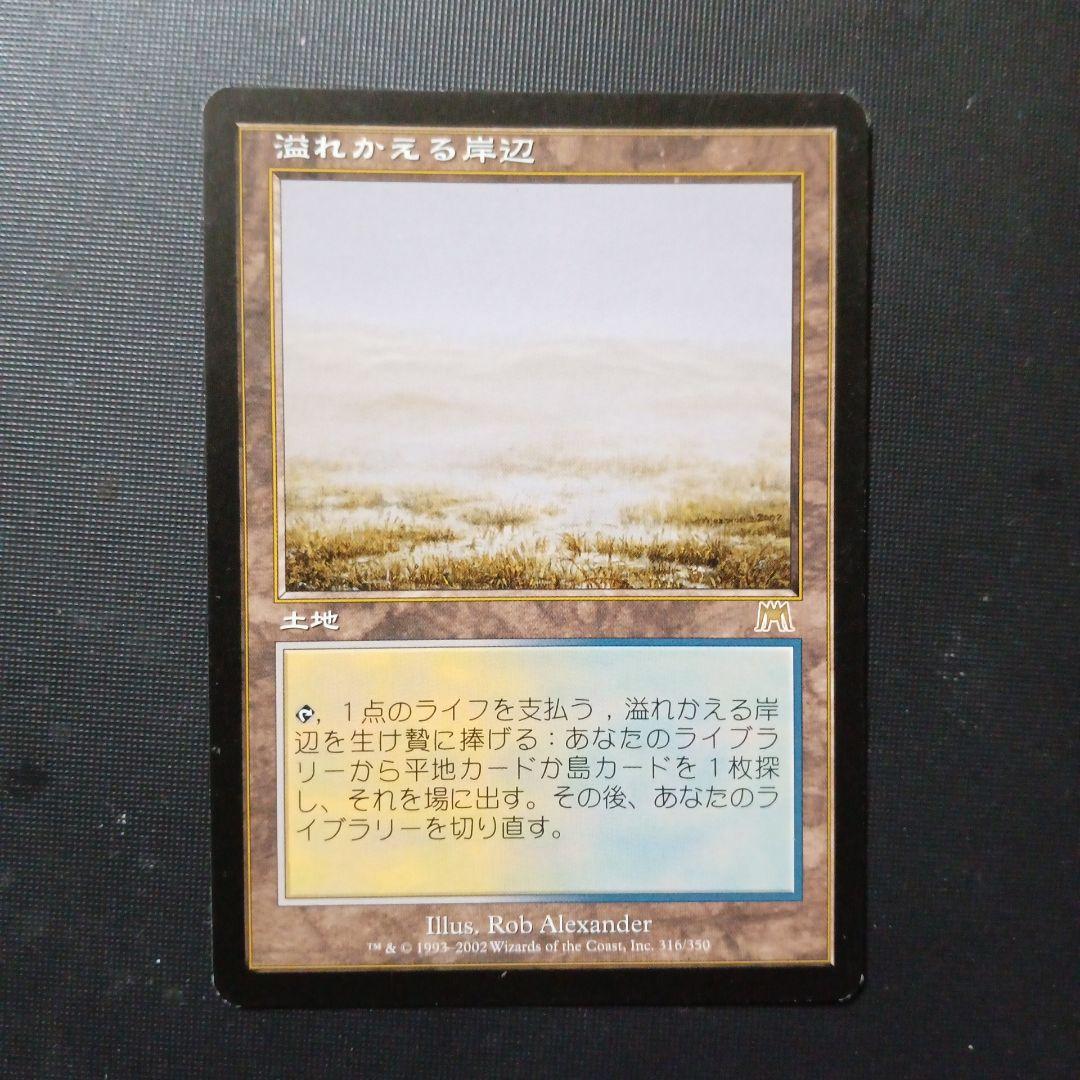 溢れかえる岸辺　Flooded Strand　ONS