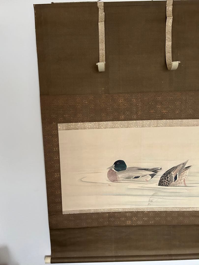 江戸時代　森徹山　真筆　水中鴨　掛軸　共箱付　茶掛　索丸山応挙