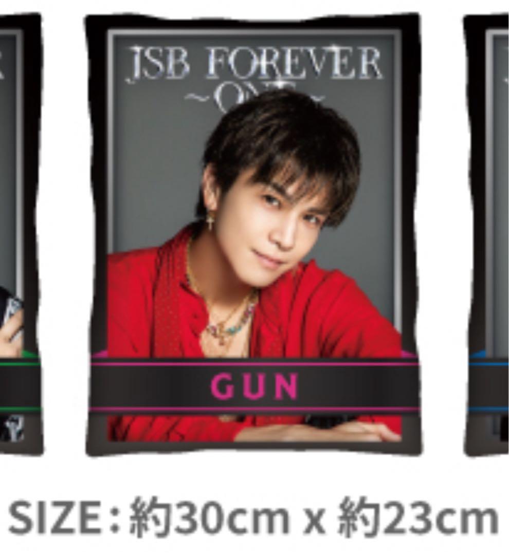 JSB3 岩田剛典 クッション &おまけ