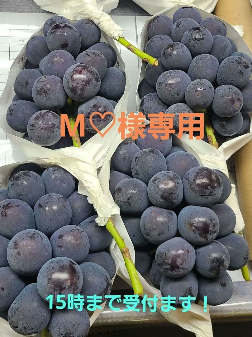 【朝採り:農家直送】9月9日収穫分 岡山県産ピオーネ2kg家庭用×2箱