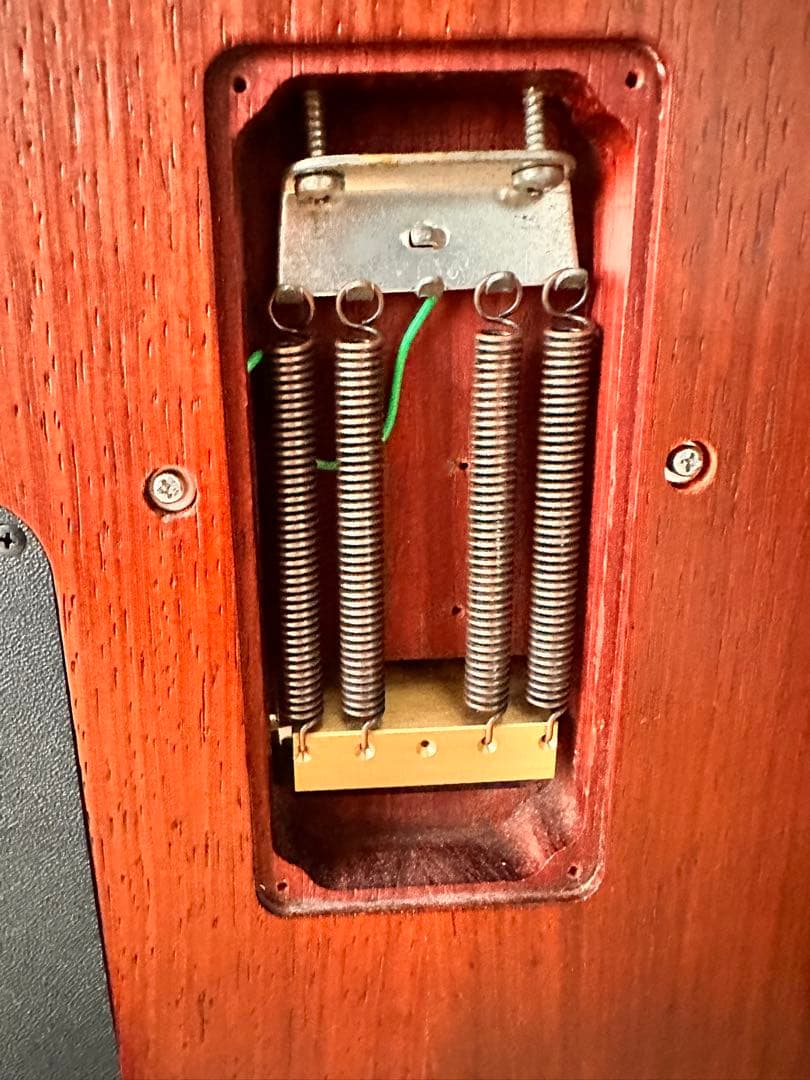 ギター Washburn N4 PADAUK