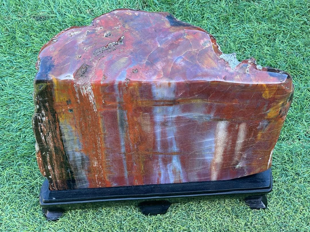 珪化木 木化石 鑑賞石 天然石 水晶 色石 赤石 赤玉石 アリゾナ珪化木 置物