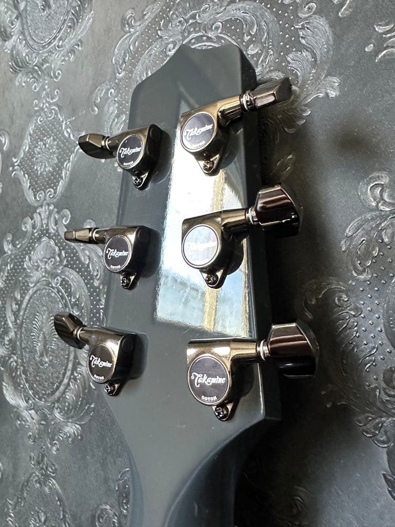 【希少】takamine LTD 2019 moon エレアコ