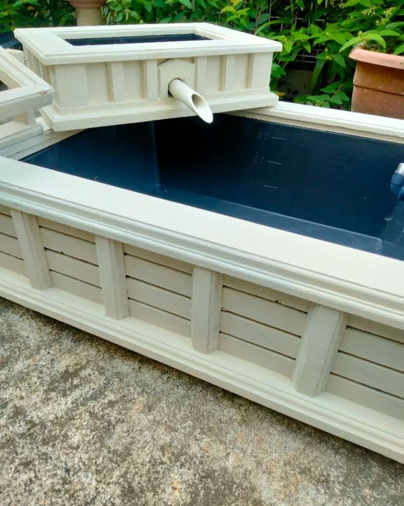 水換えの要らないトロ舟40 ビオトープ