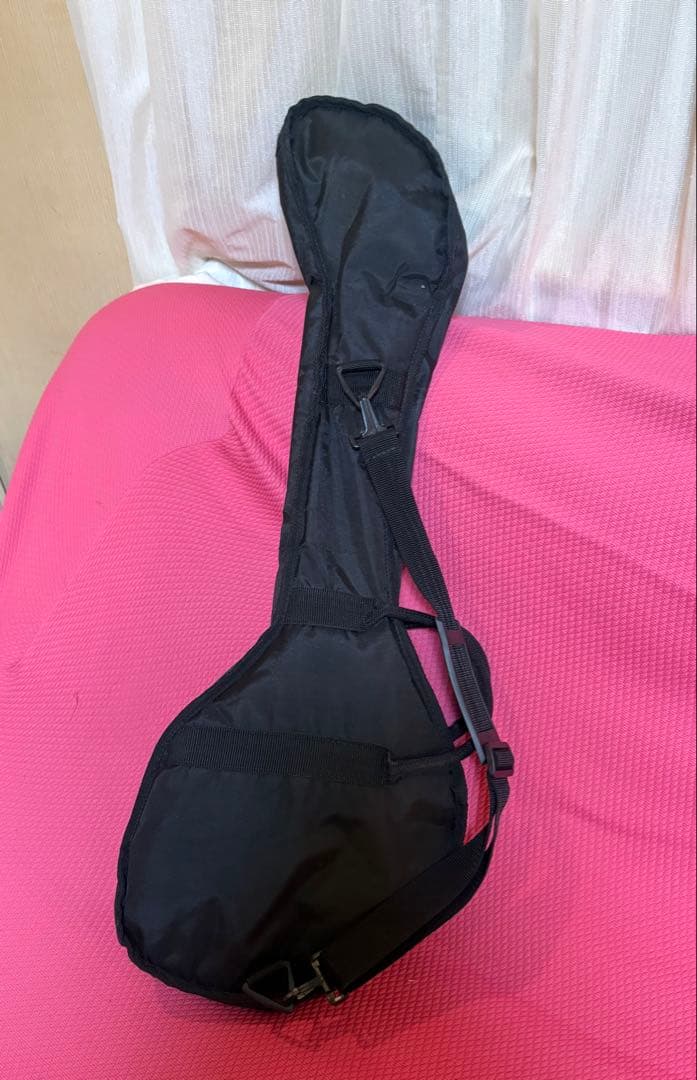 フェルナンデス　Zooさんギター　ランディローズモデル