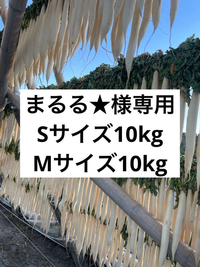 宮崎県産　干し大根　20kg まるる