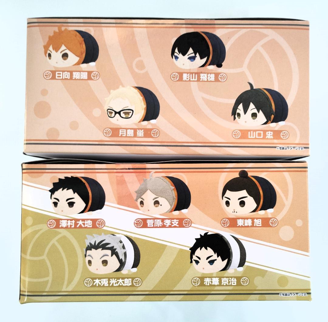 ハイキュー!! もちもちマスコットミニ　Vol.1＆3　箱売り