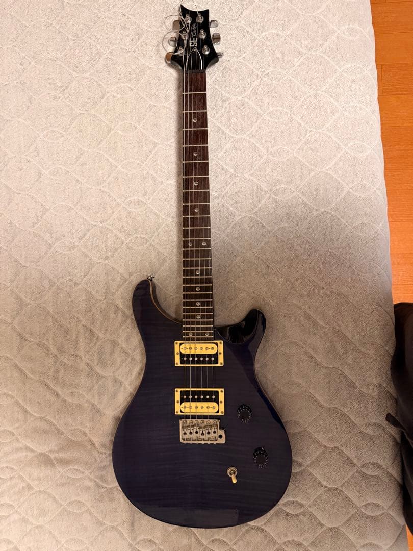 さぼてん様 PRS SE custom ポールリードスミス