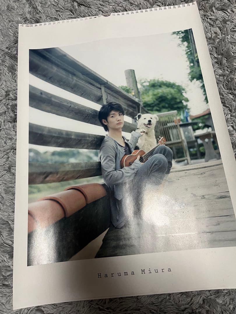 三浦春馬 2013 カレンダー