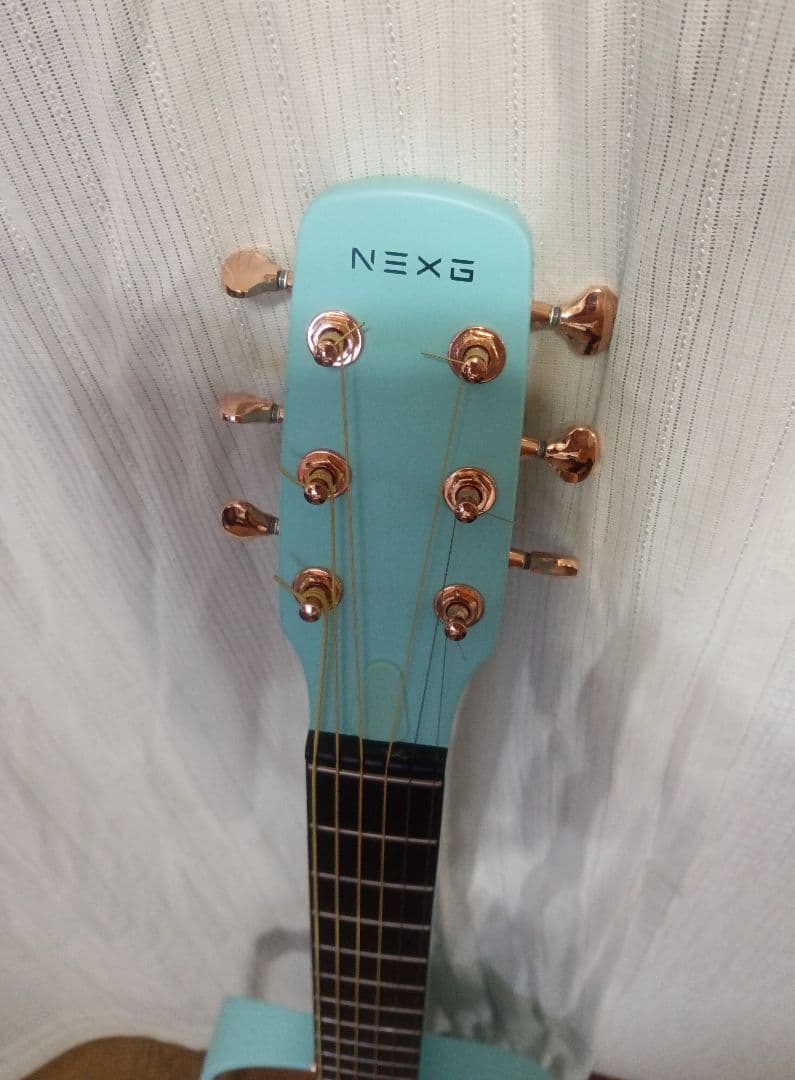 【新品ほぼ未使用　Enya NEXG 2　 エレアコ　エメラルドブルー