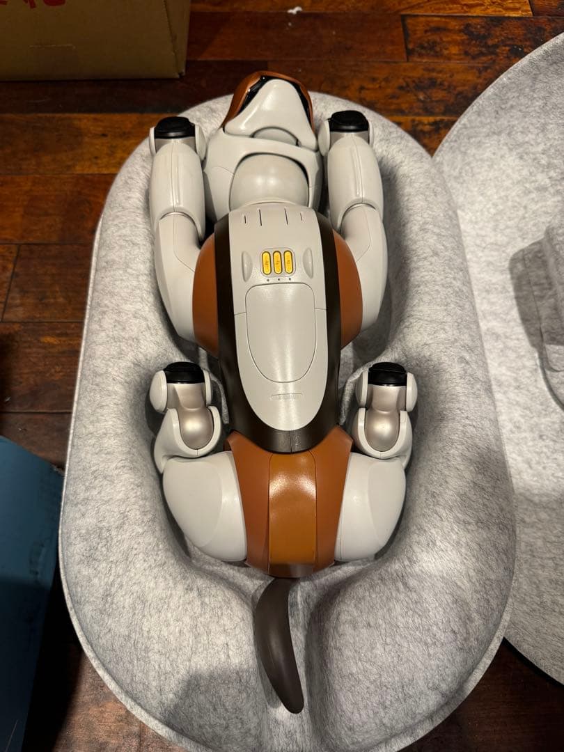 SONY AIBO アイボ ERS-1000 チョコエディション 限定モデル