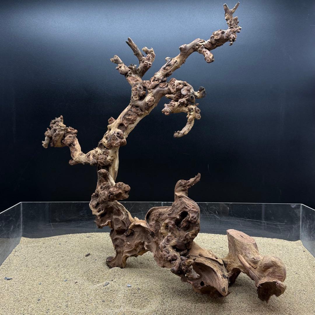 MSW-7083 天然流木 一点物　枝流木　アクアリウム