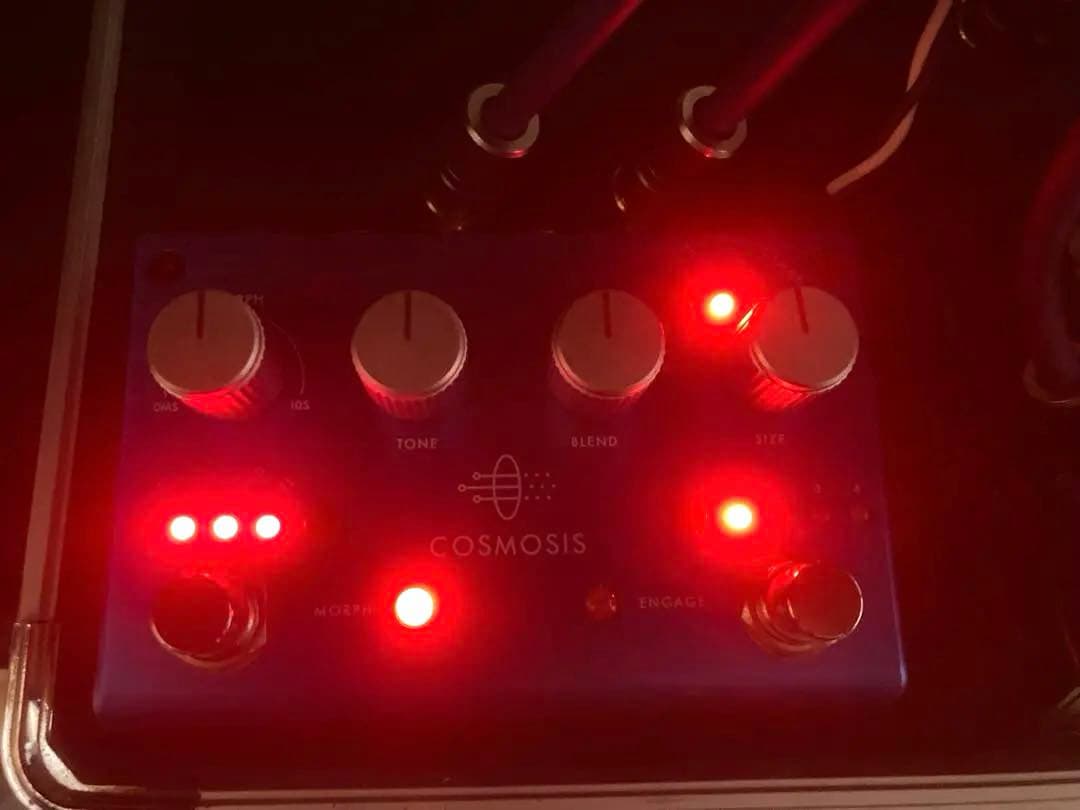 PIGTRONIX COSMOSIS アンビエントリバーブ ピグトロニクス 美品