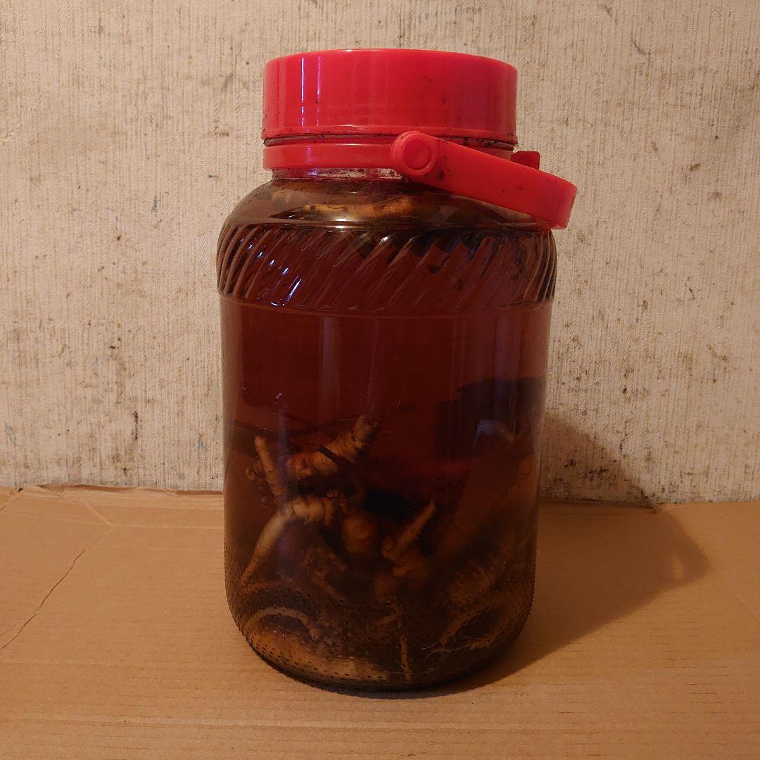 大阪府生駒山系信貴山の天然物ツルニンジン酒 5 Ｌ入り