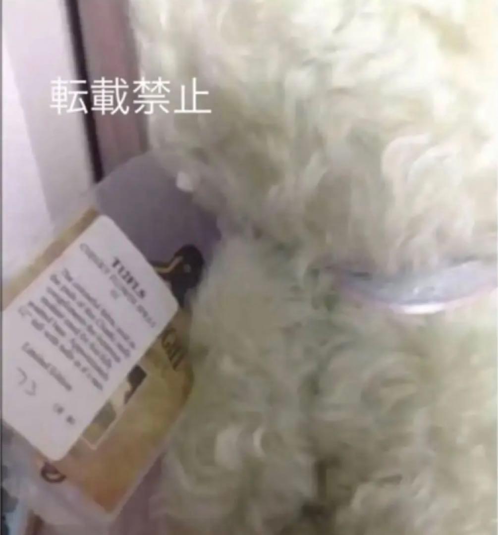 メリーソート　フラワースプレー　限定