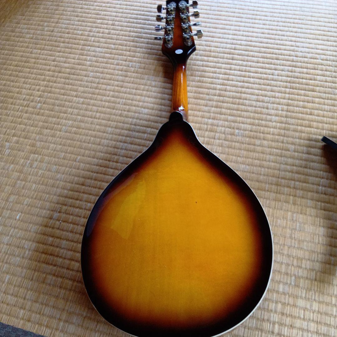 フラットマンドリン