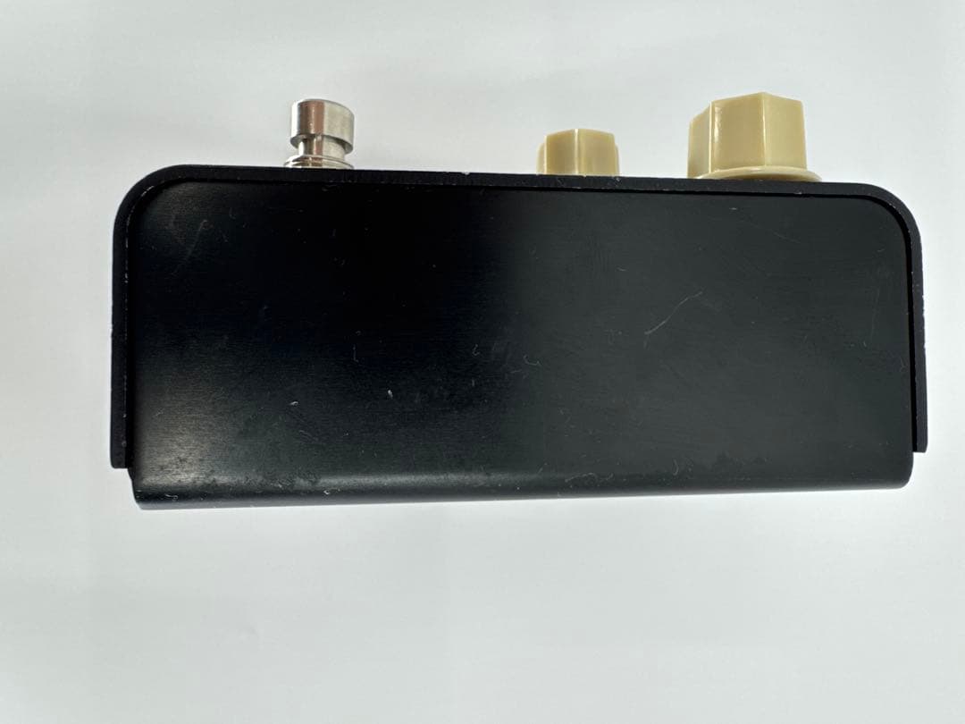 strymon FLINT トレモロ＆リバーブ