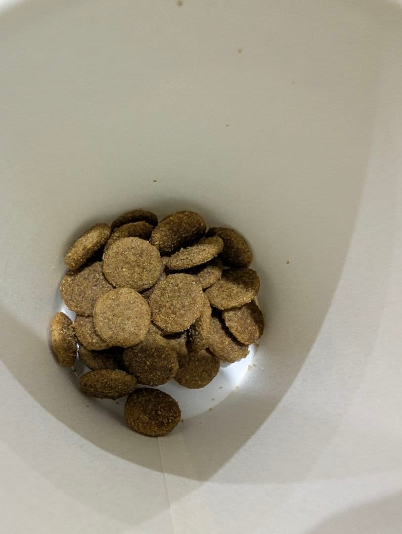 16日まで限定値下げドッグフード ドライフード 18kg