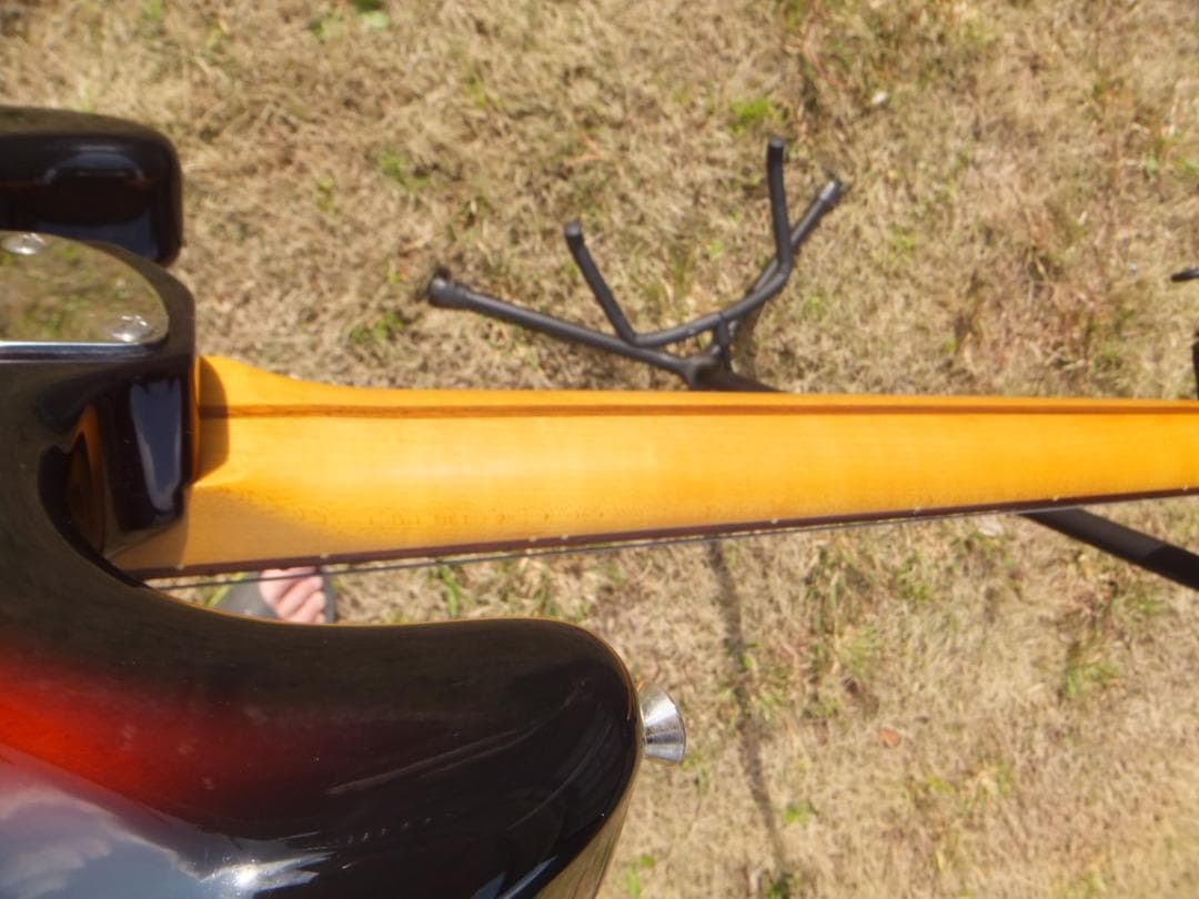 Fujigen Coolz ZST-10R　アルダー　アルニコ