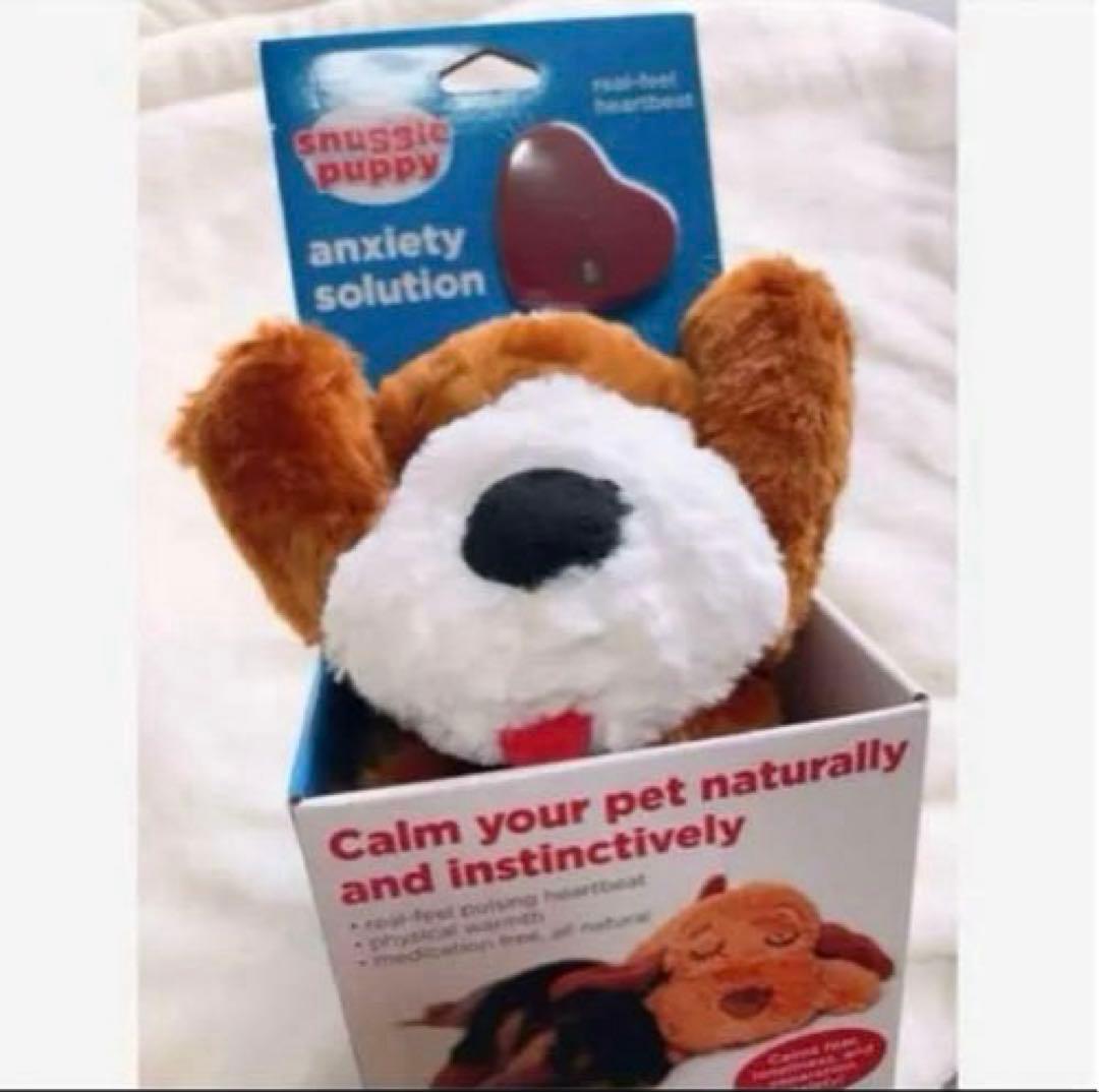 オ-エフティ- コンパニマル ブルドック