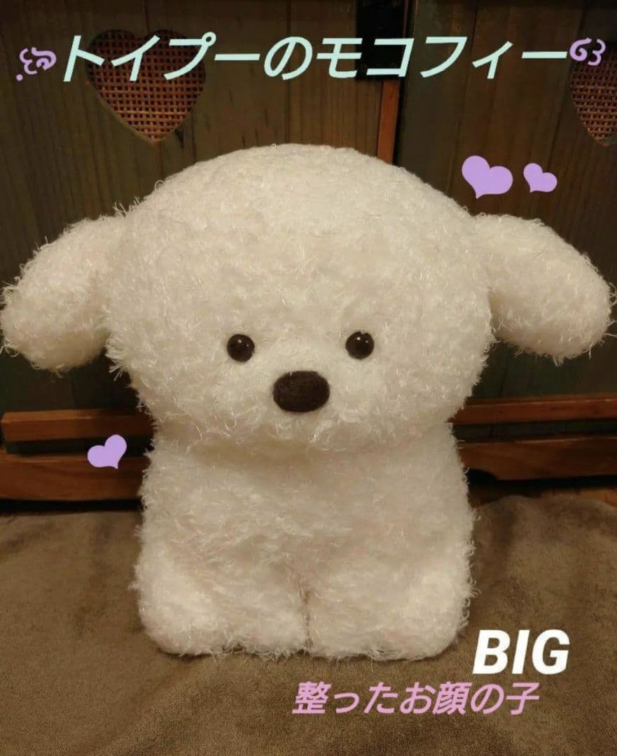 トイプーのモコフィー  BIG