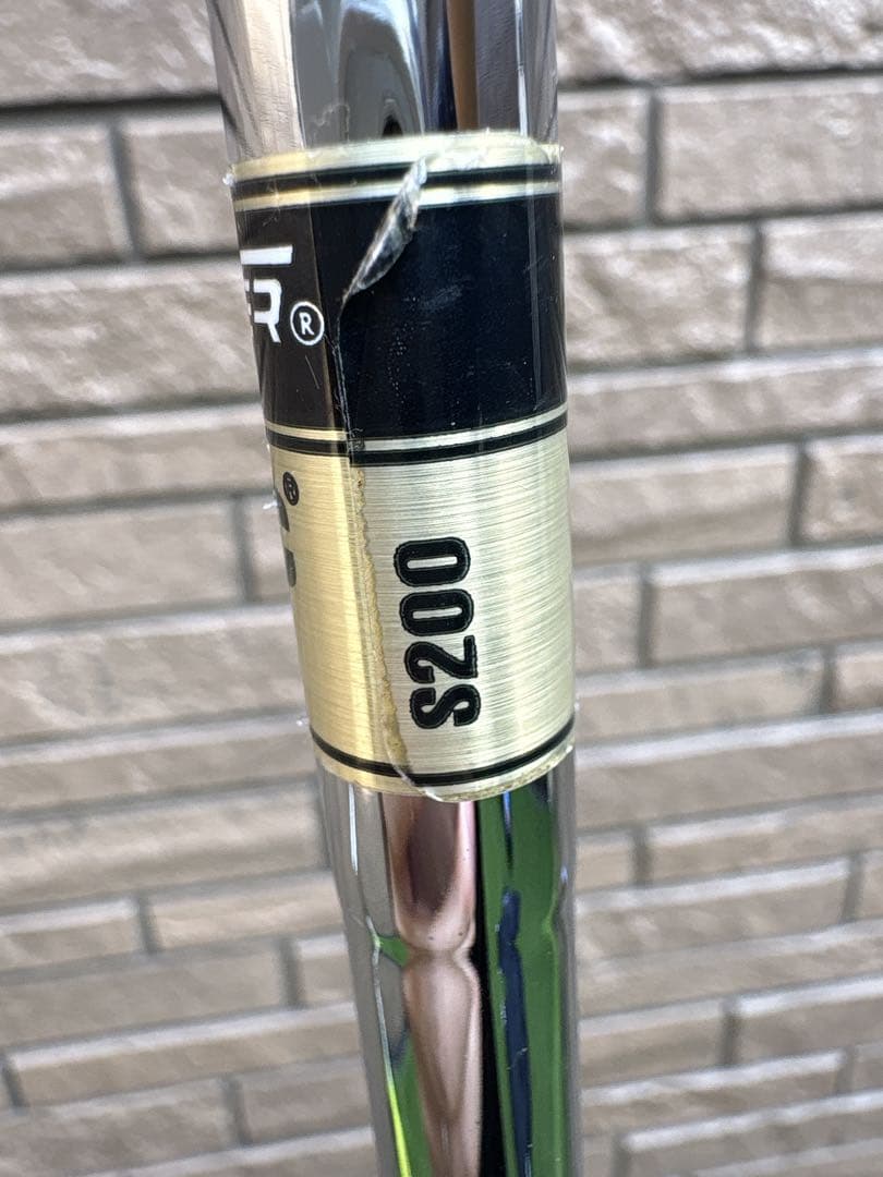 ミズノプロ319 アイアンセット　DG S200 5-P