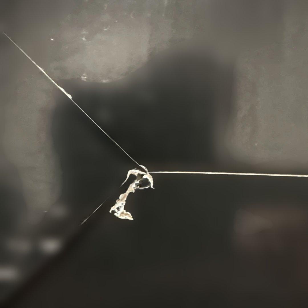 ブルース・リー フィギュア Eternal Film Star