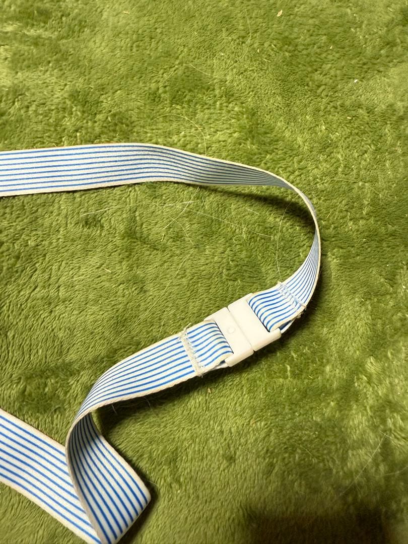 万博　スタッフパス　AD証　公式参加者