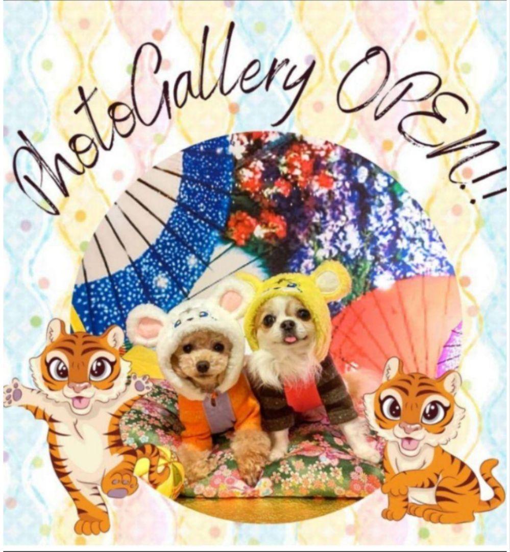 J＆Kanimals　はるちゃんパーカー　バレンタイン限定　廃盤品　ＳＳ