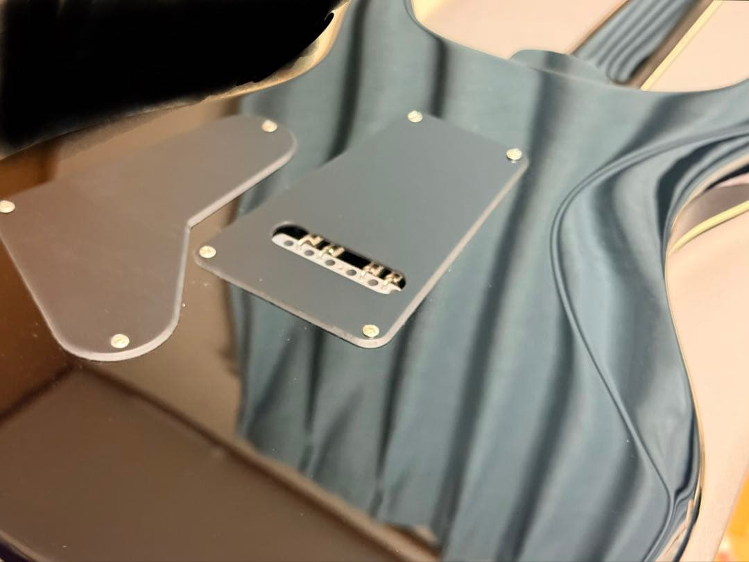 ギター PRS SE CUSTOM 24 Quilt Package